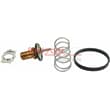 Metzger Thermostat + Dichtung Smart Fortwo
