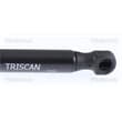 Triscan Gasfeder Für Kofferraum Nissan Micra