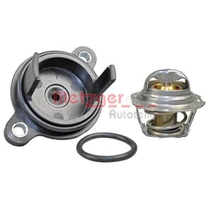 Metzger Thermostat + Dichtung Ford