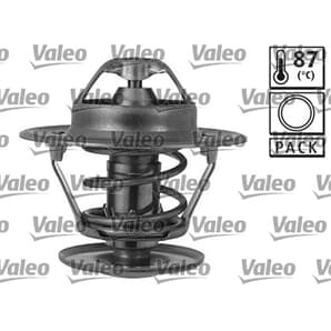 Valeo Thermostat + Dichtung Ford