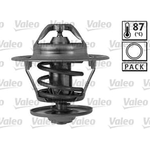 Valeo Thermostat + Dichtung Ford Opel