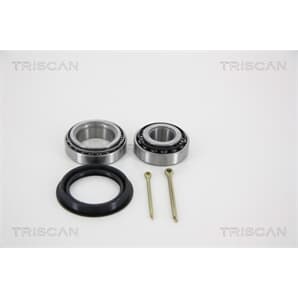 Triscan Radlager hinten Audi 80 90 100 200 A4 A6 Coupe VW Caddy