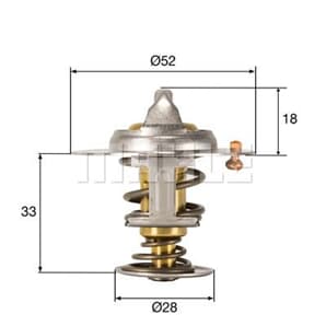 Mahle Thermostat Ford